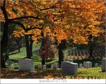 墓园与陵园、纪念性公园、公墓的区别